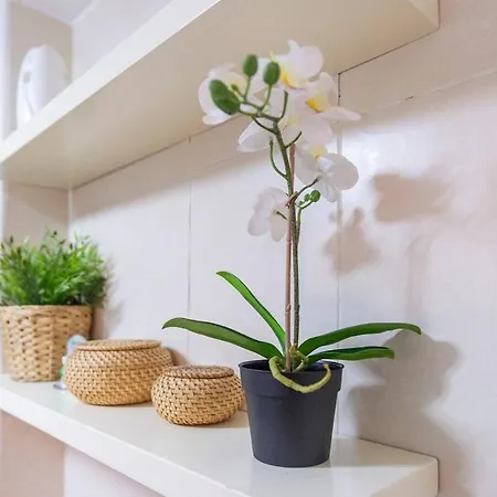公寓 Chic Penthouse With Large Rooftop